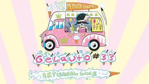 Gelauto N°33 - A Brand New Artisanal Drop!