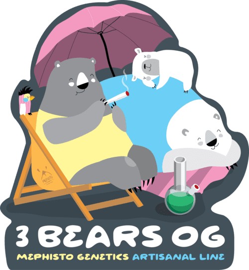3 Bears OG