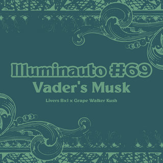 ILL#69 - Vader's Musk
