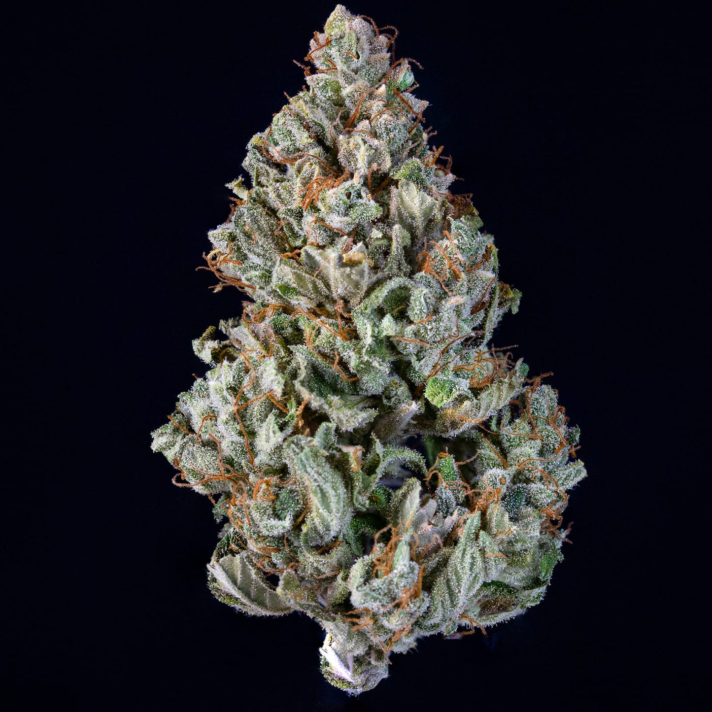 Sour Crack