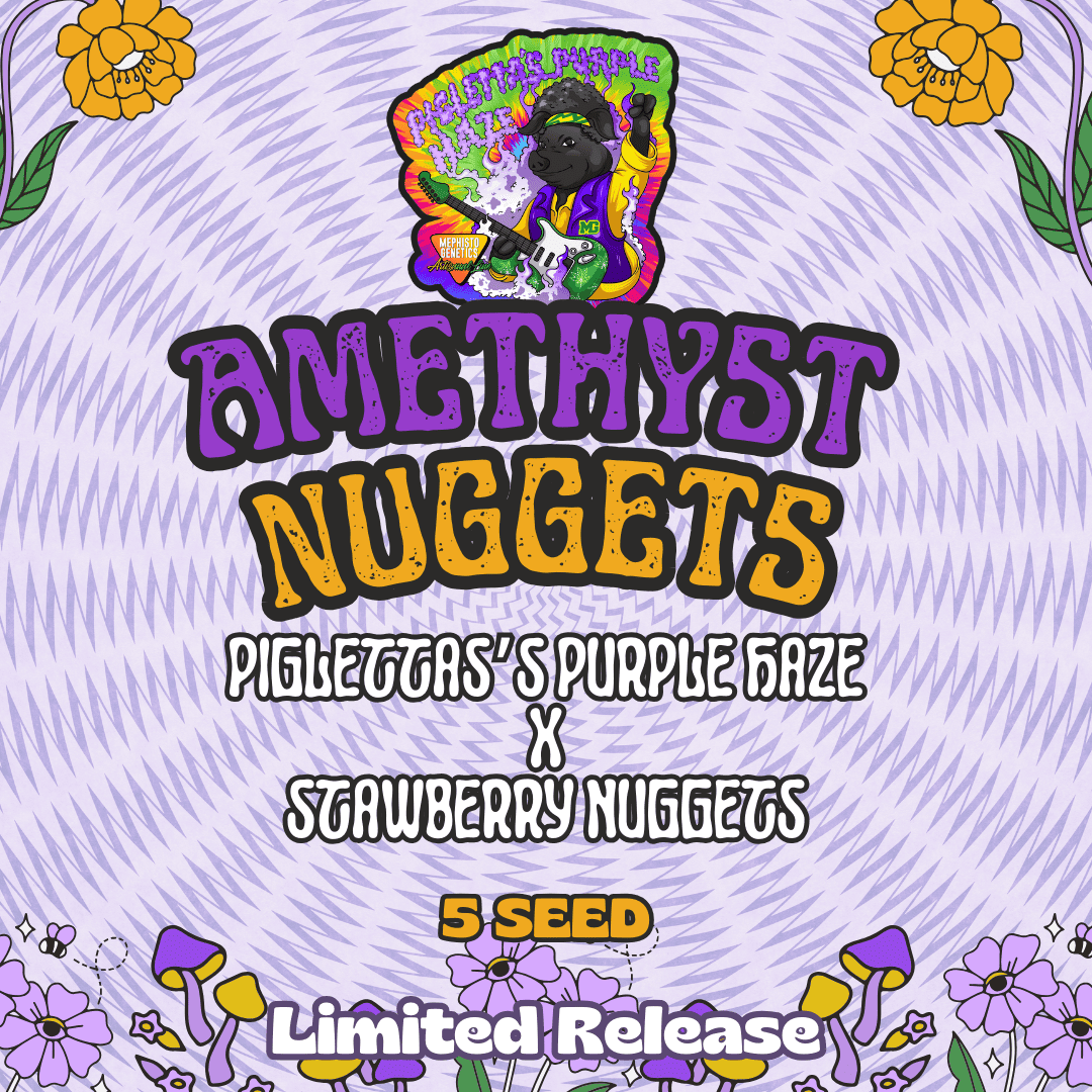 Amethyst nuggets discount