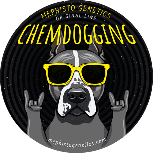 Chemdogging