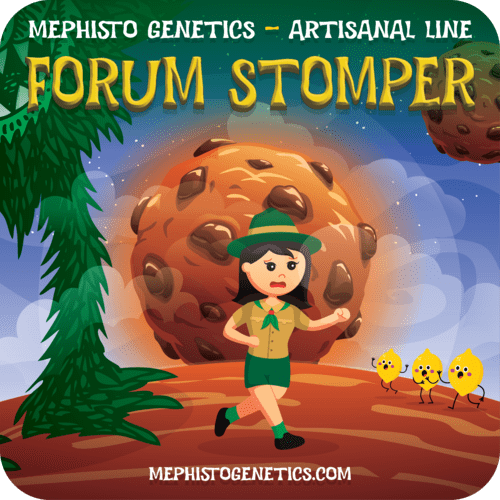 Forum Stomper
