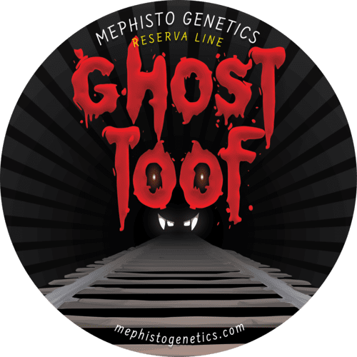 Ghost Toof