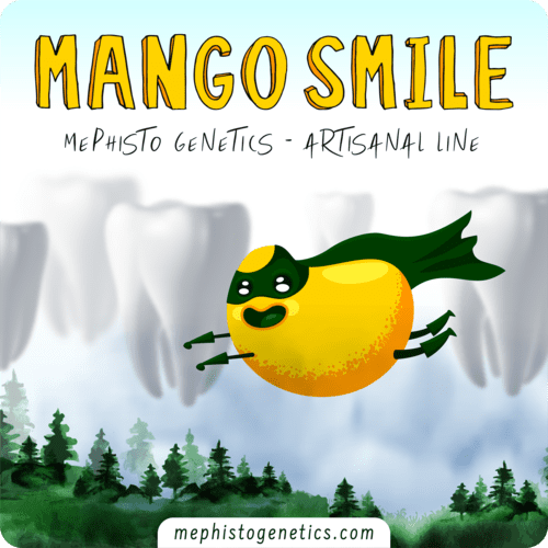 Mango Smile