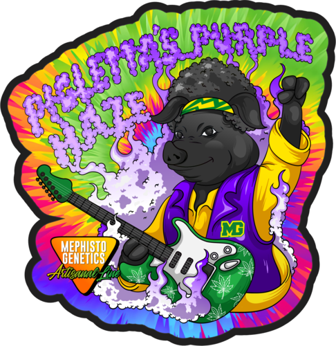 Pigletta's Purple Haze