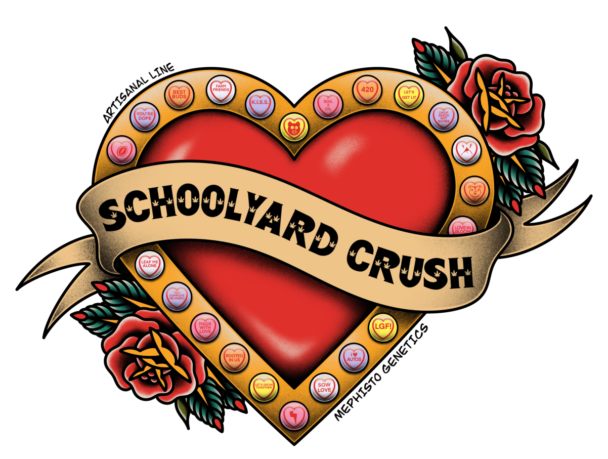 Schoolyard Crush