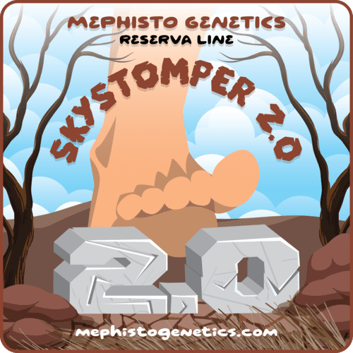 Skystomper 2.0