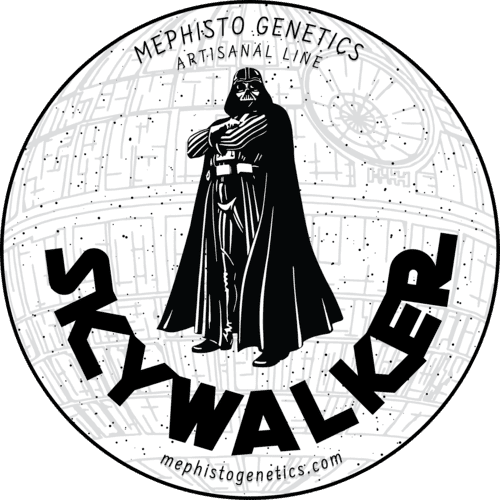 Skywalker