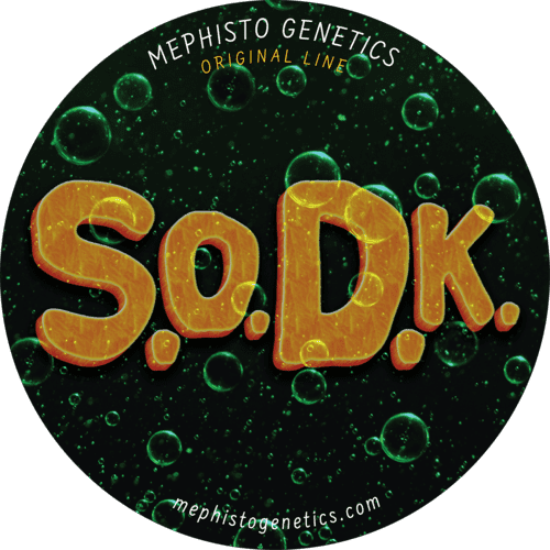 S.O.D.K