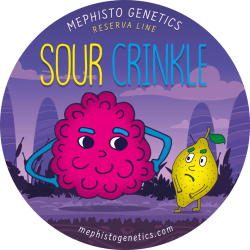 Sour Crinkle