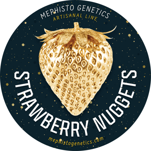 Strawberry Nuggets