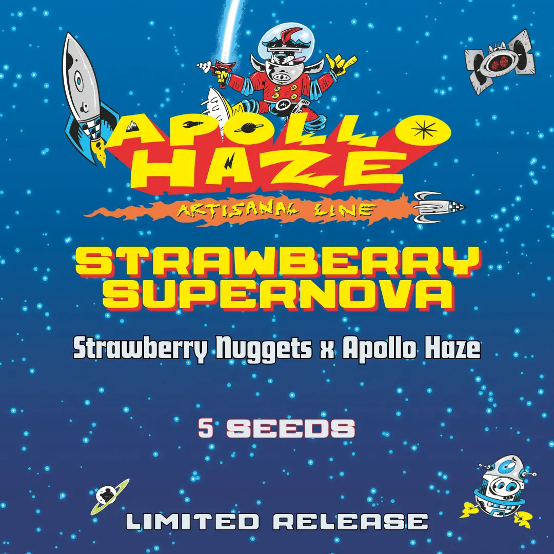 Strawberry Supernova