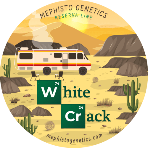 White Crack