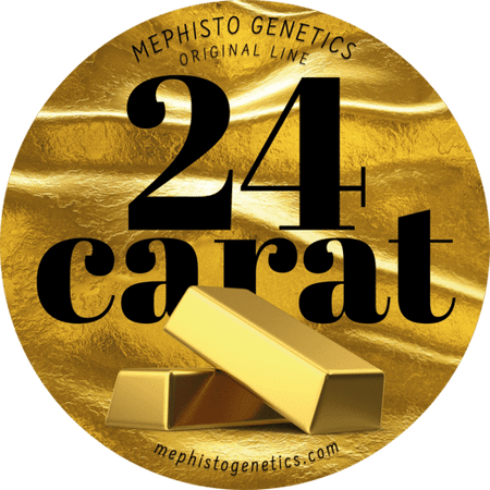 24 Carat
