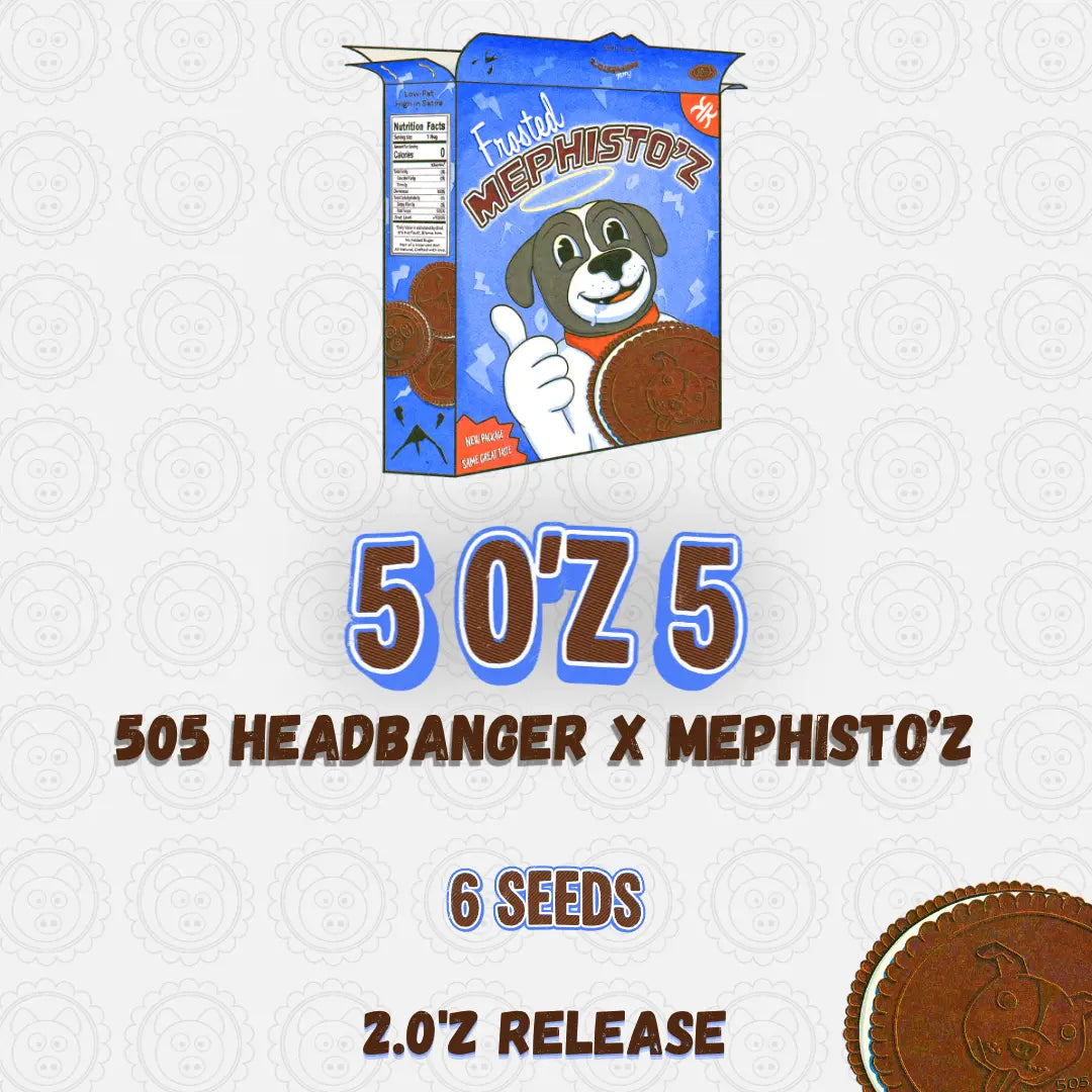 5 O'z 5