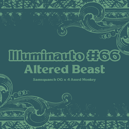 ILL#66 - Altered Beast