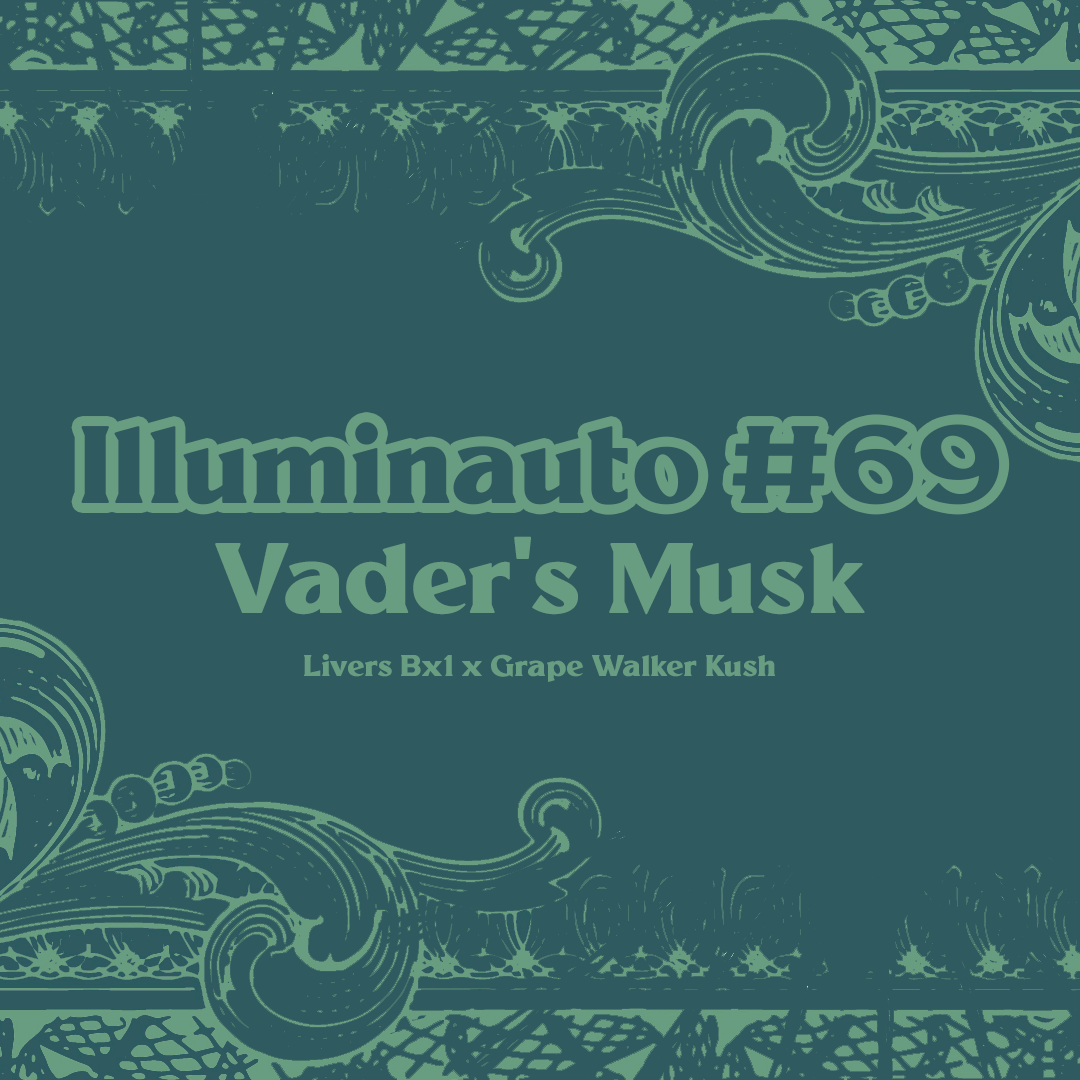 ILL#69 - Vader's Musk