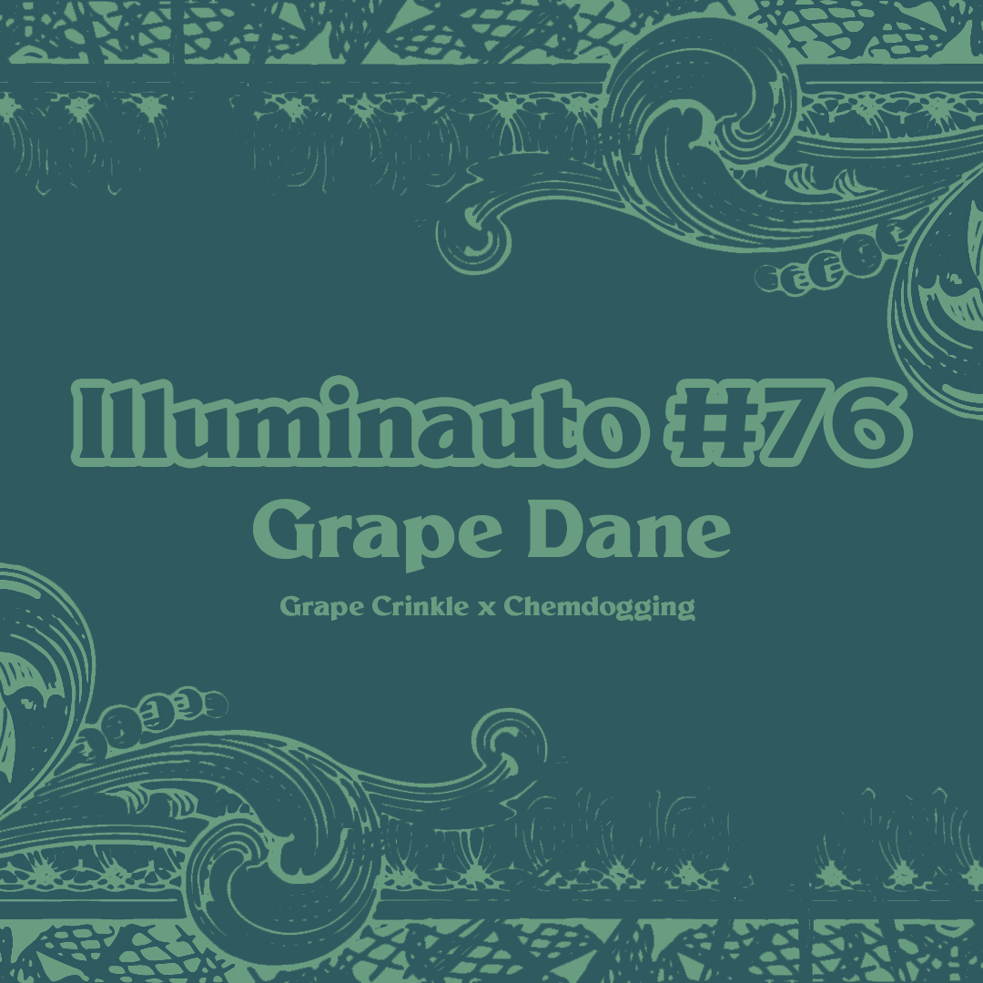 ILL#76 - Grape Dane