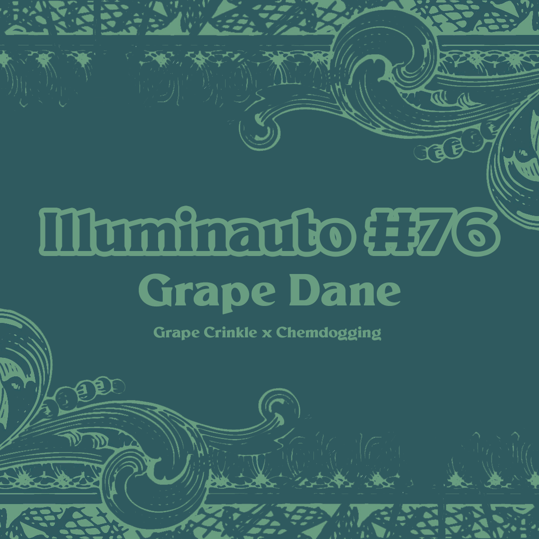 Grape Dane