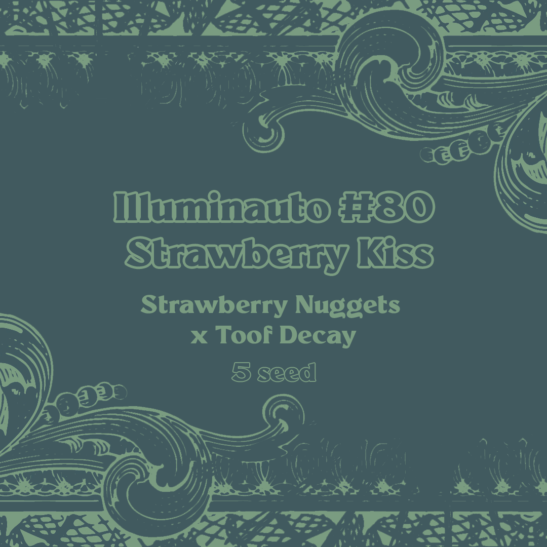 Strawberry Kiss