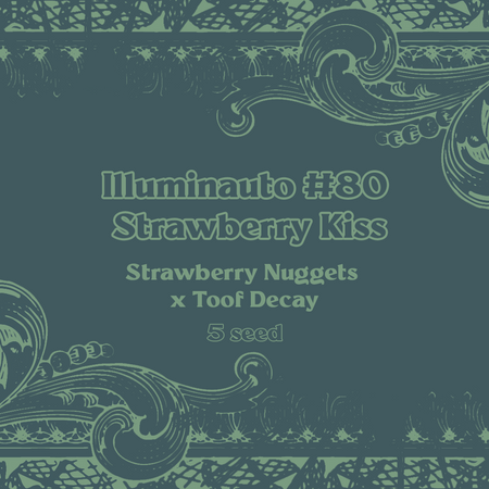 ILL#80 - Strawberry Kiss