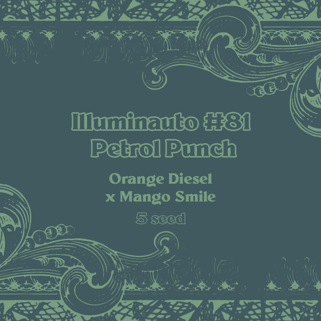Petrol Punch
