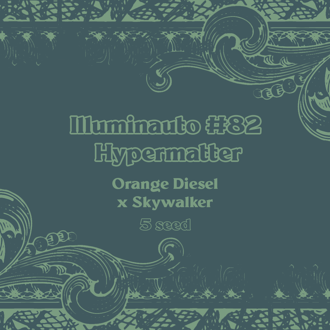 ILL#82 - Hypermatter