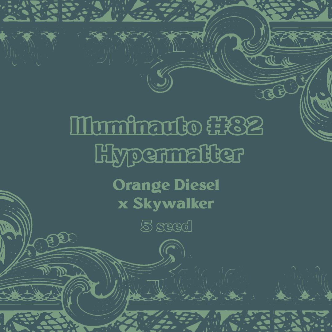 Hypermatter