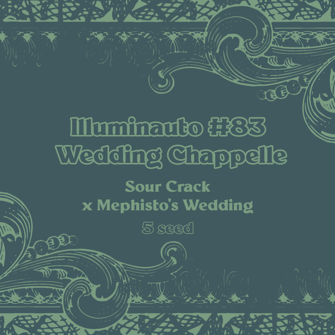 ILL#83 - Wedding Chappelle