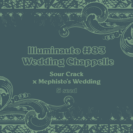 ILL#83 - Wedding Chappelle
