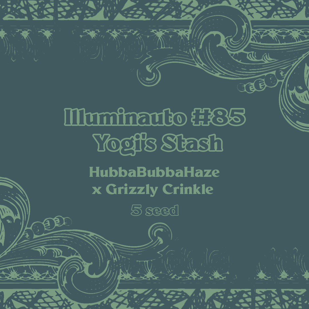 Yogi's Stash