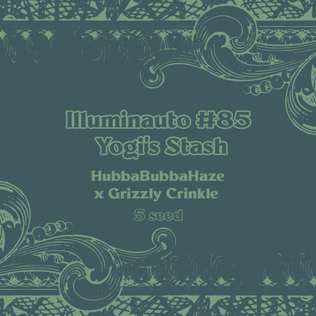 ILL#85 - Yogi's Stash