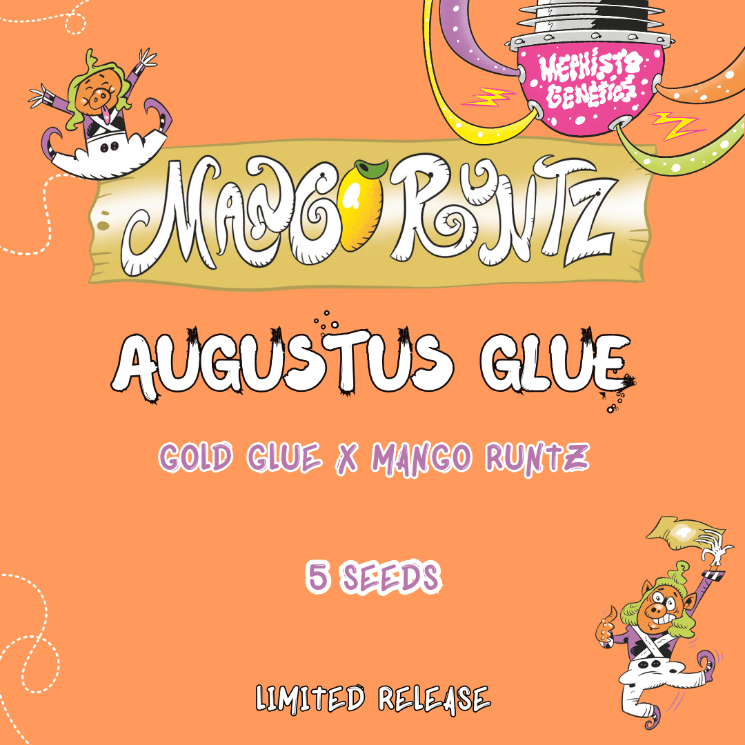 Augustus Glue