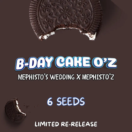 B-day Cake O'z
