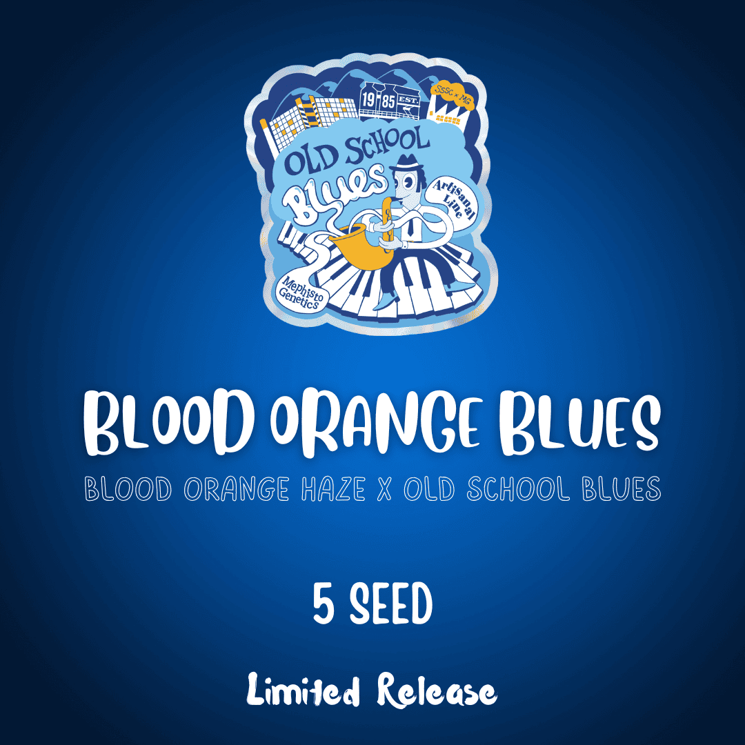 Blood Orange Blues