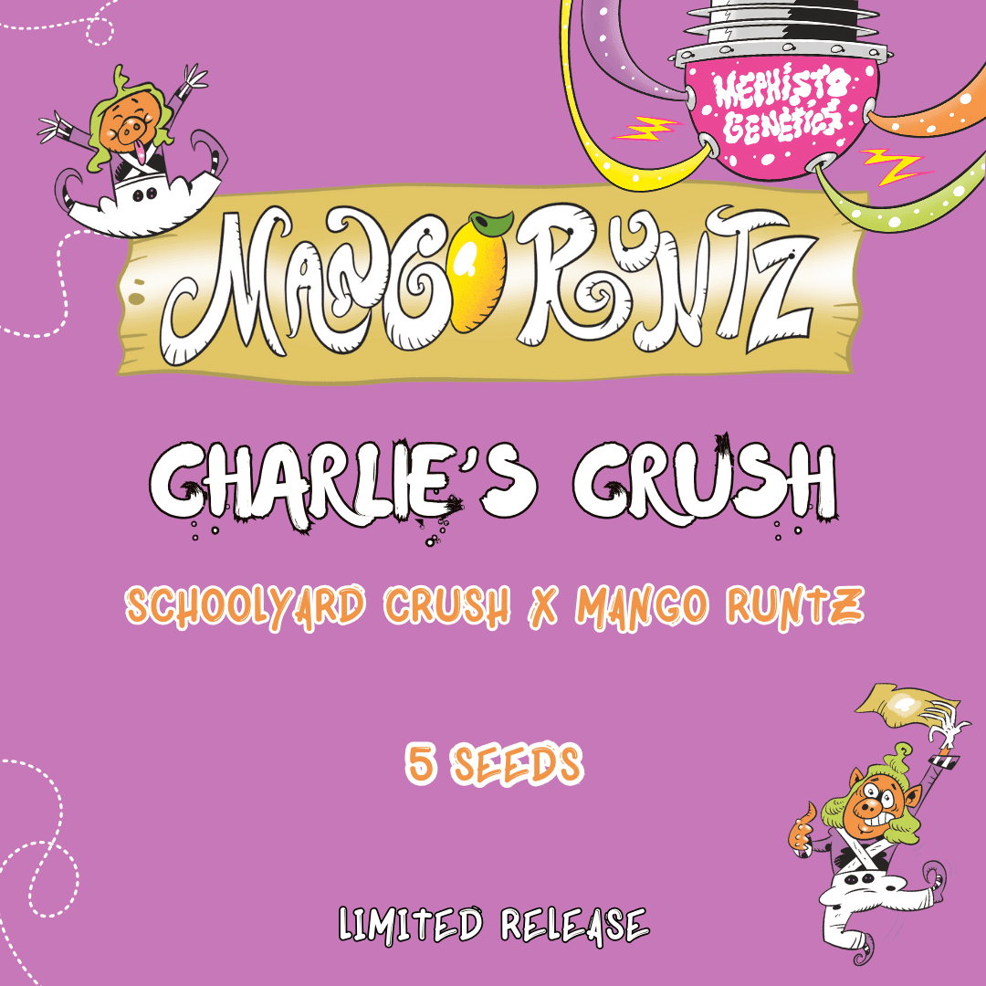 Charlie's Crush