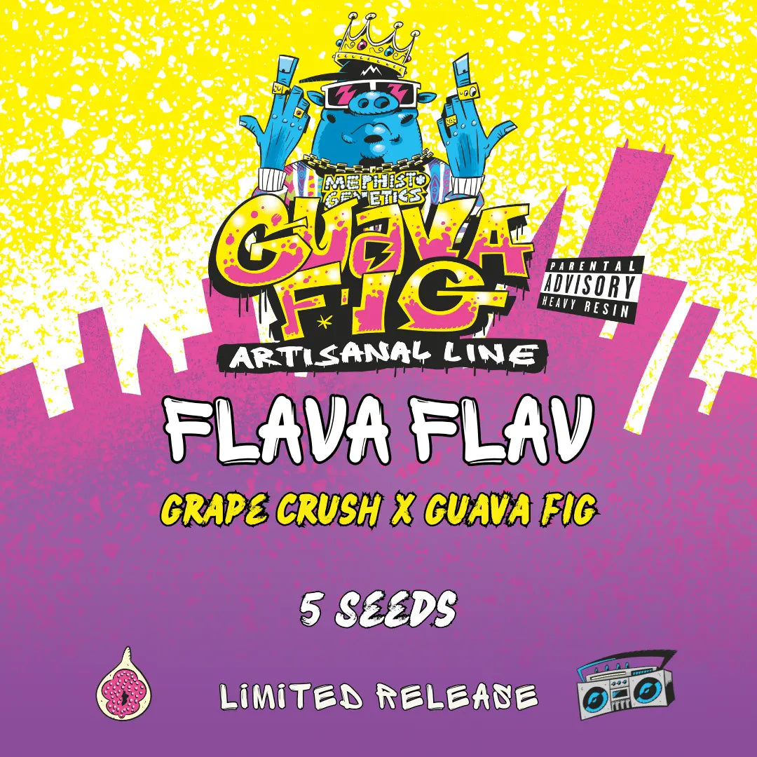 Flava Flav