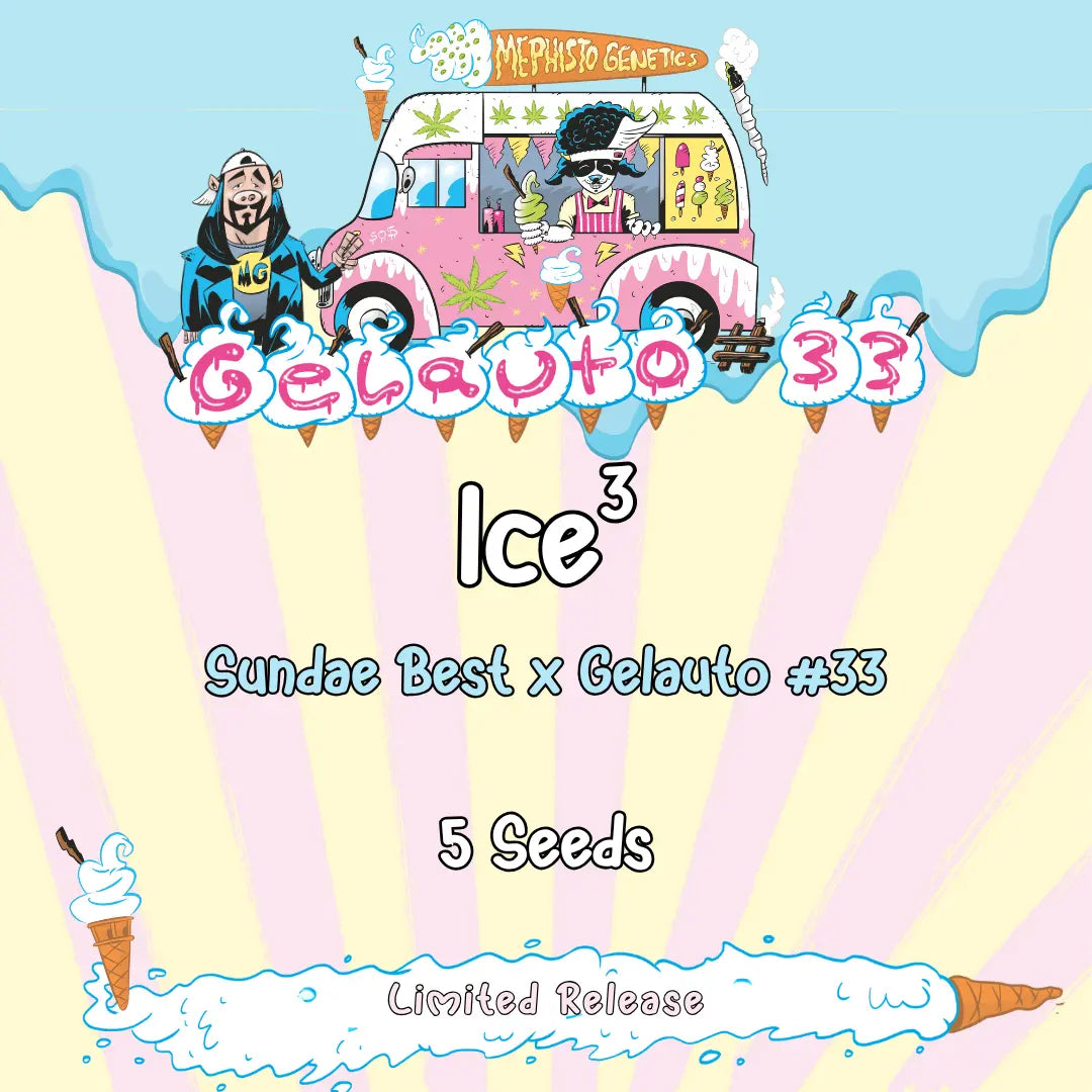 Ice3