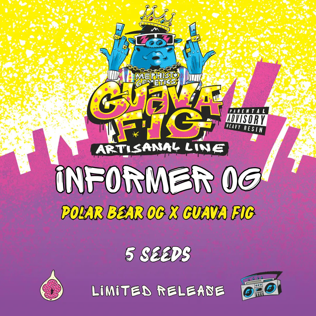 Informer OG