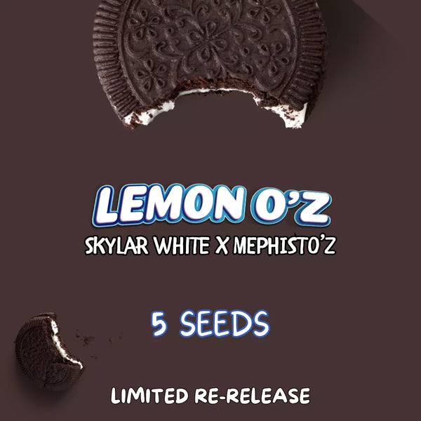 Lemon O'z – Mephisto Genetics