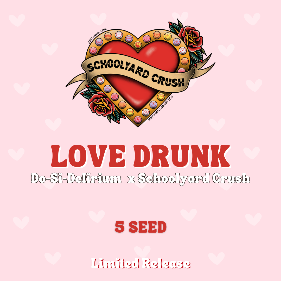 Love Drunk