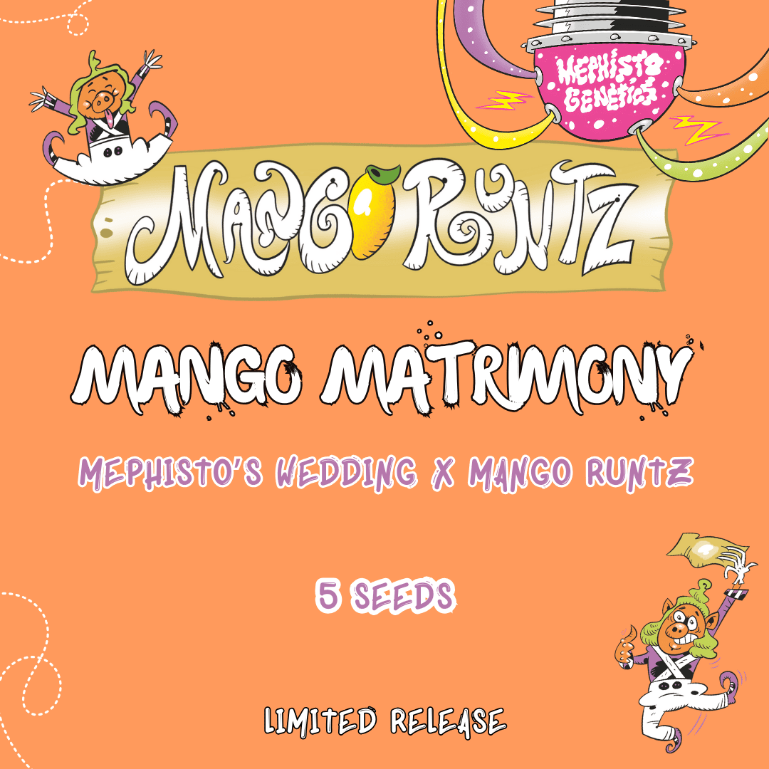 Mango Matrimony