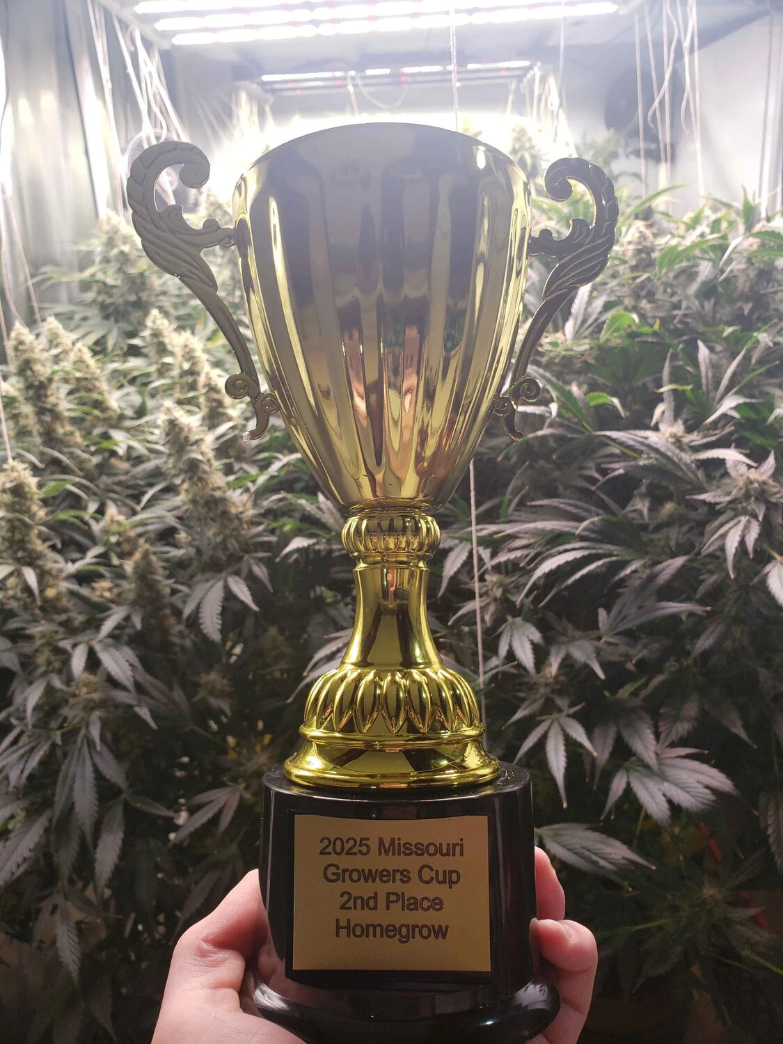 2025 Missouri Growers Cup - Home Grown Flower image 1