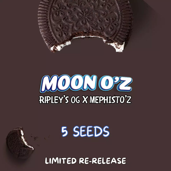 Moonoz_grande.webp?v=1748515770