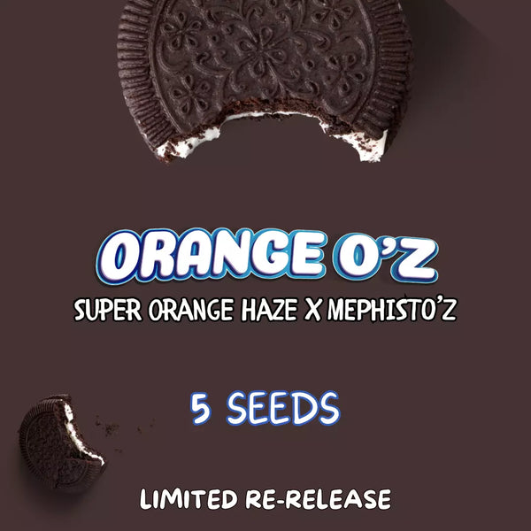 OrangeOz_grande.webp?v=1748515788