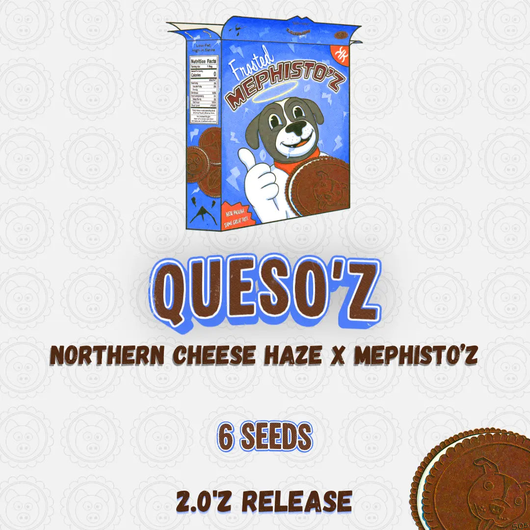 QuesO'z