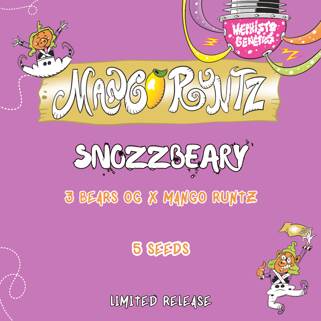 Snozzbeary