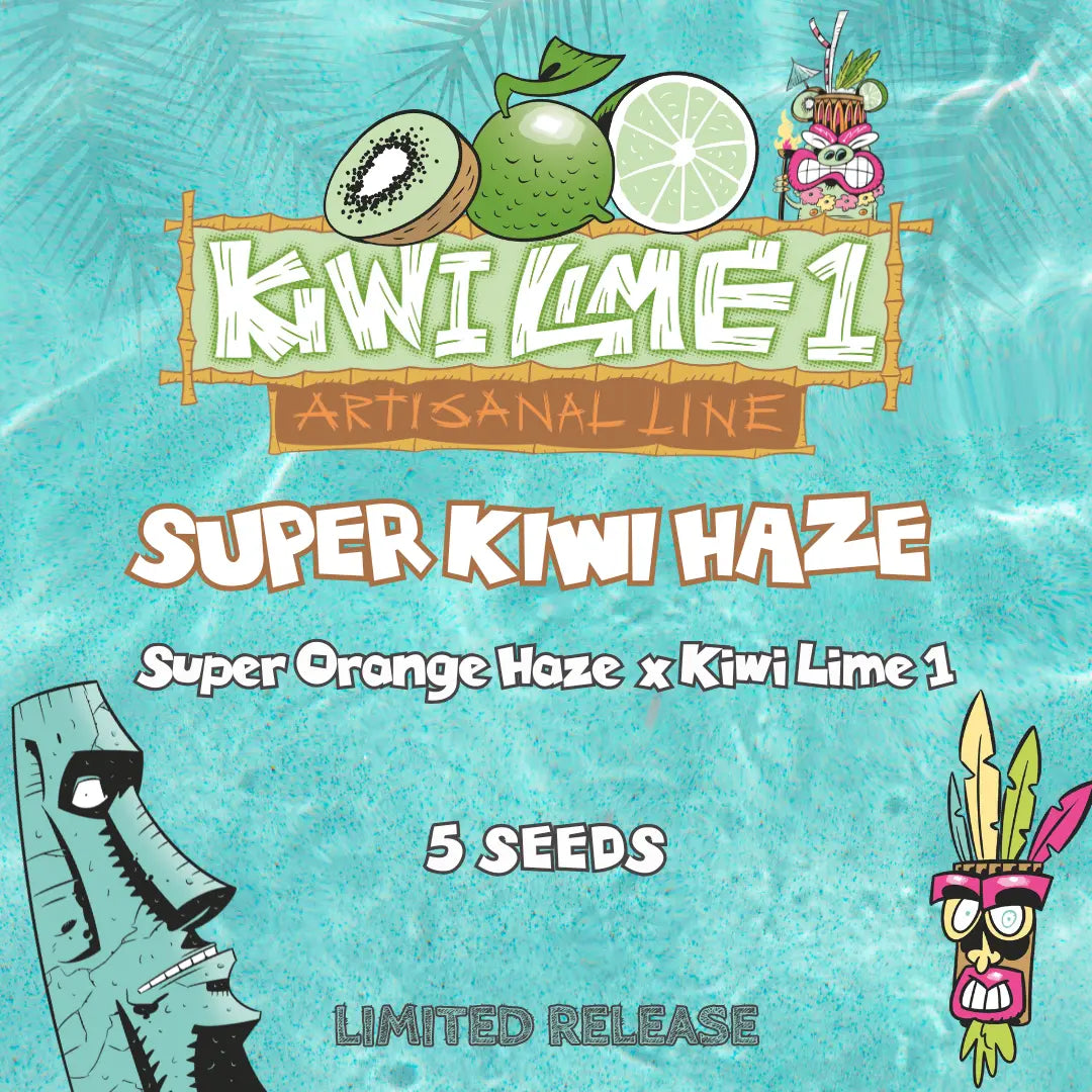 Super Kiwi Haze