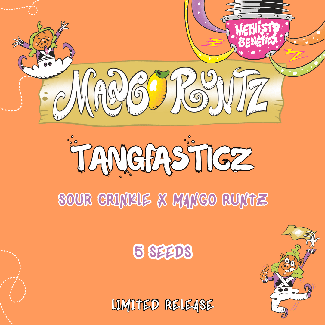 Tangfasticz